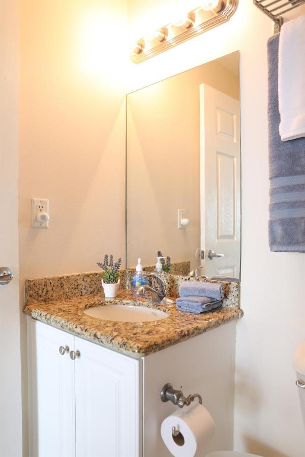 Dolphin Bay In Boca Ciega Resort - 2Br, Pool, Bay View 圣彼得堡 外观 照片